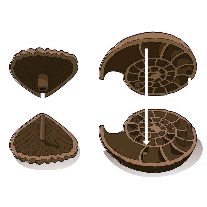 clementoni-galileo-lab-ausgrabungs-set-fossilien-mineralien image 4
