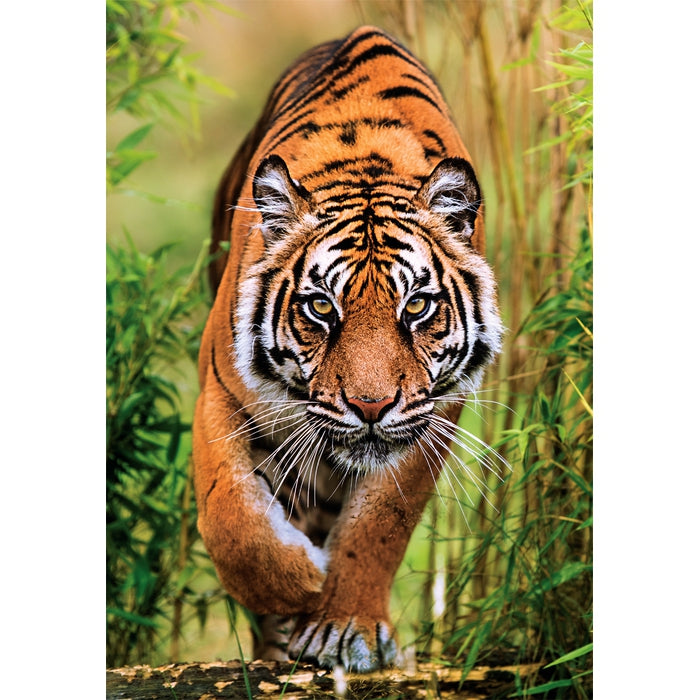 clementoni-puzzle-the-hunter-s-path-1000-teile-tierpuzzle image 2