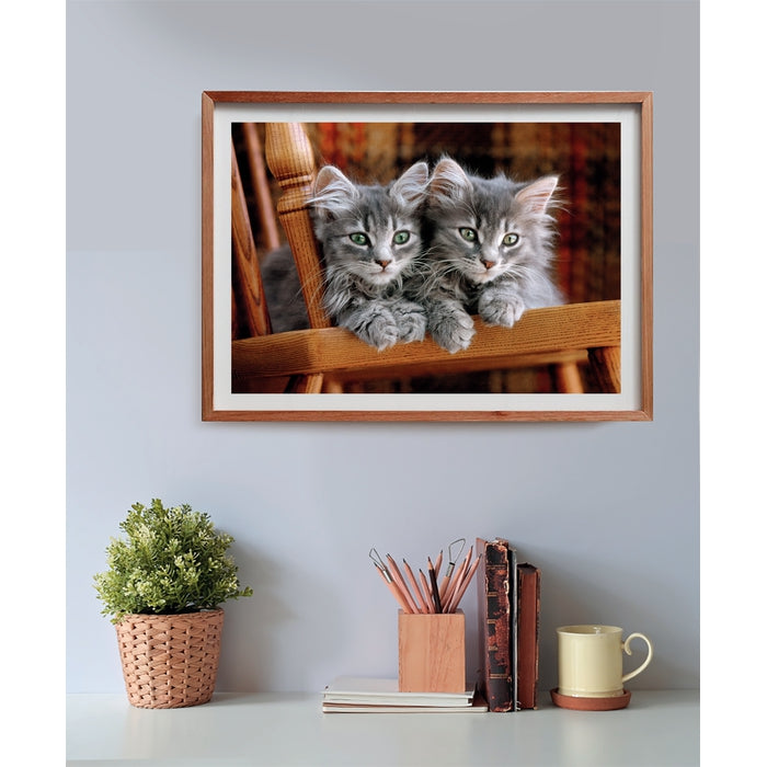 clementoni-kittens-puzzle-500-teile-erwachsenenpuzzle-tiere image 3