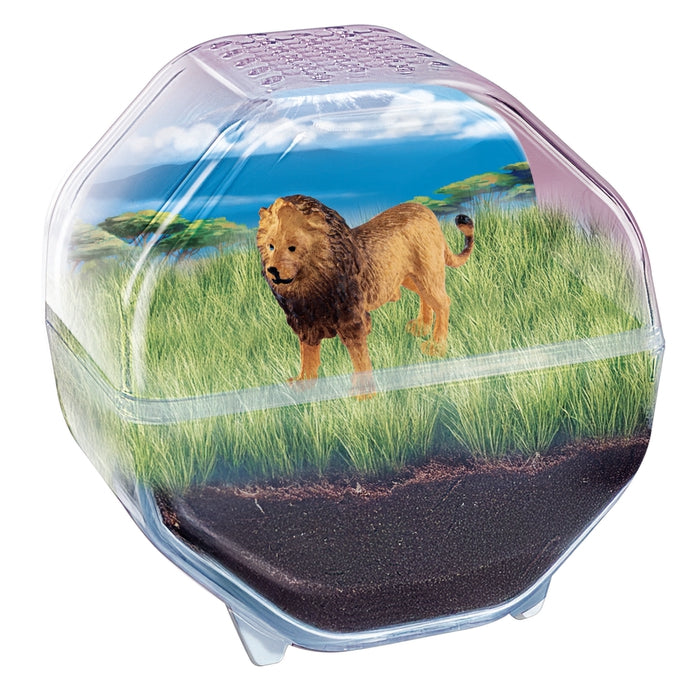 clementoni-galileo-lab-mini-terrarium-l-we image 2