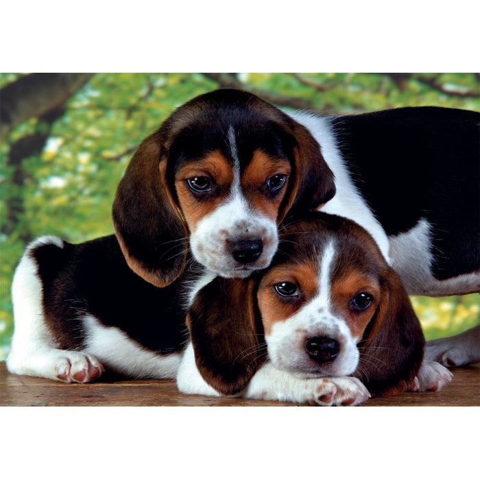 clementoni-adult-puzzle-close-together-500-teile-tier-puzzle-49-x-36-cm image 2