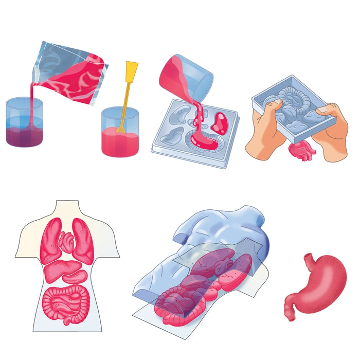 clementoni-galileo-lab-squishy-anatomie-experimentierkasten image 5