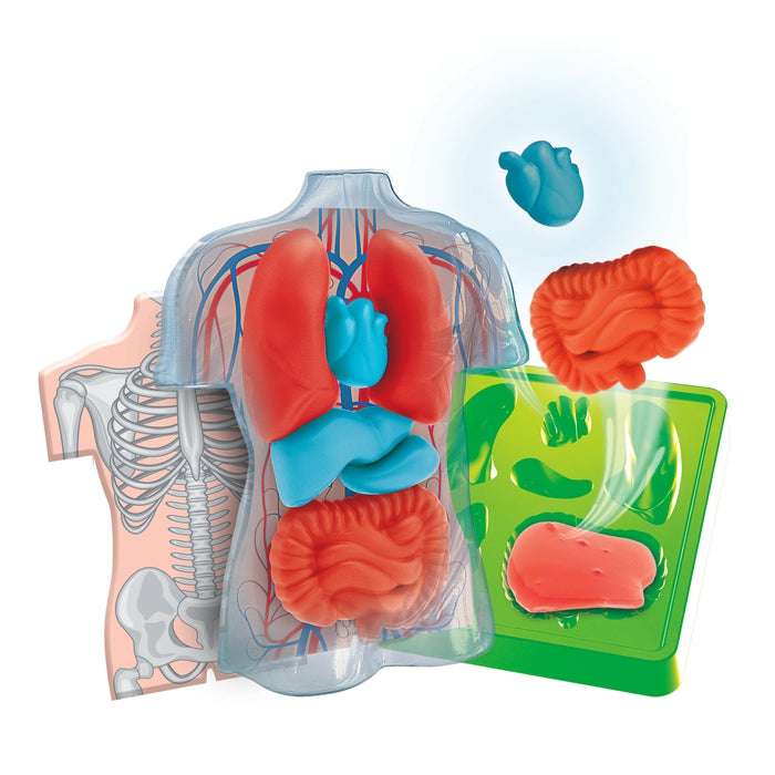 clementoni-galileo-lab-squishy-anatomie-experimentierkasten image 2