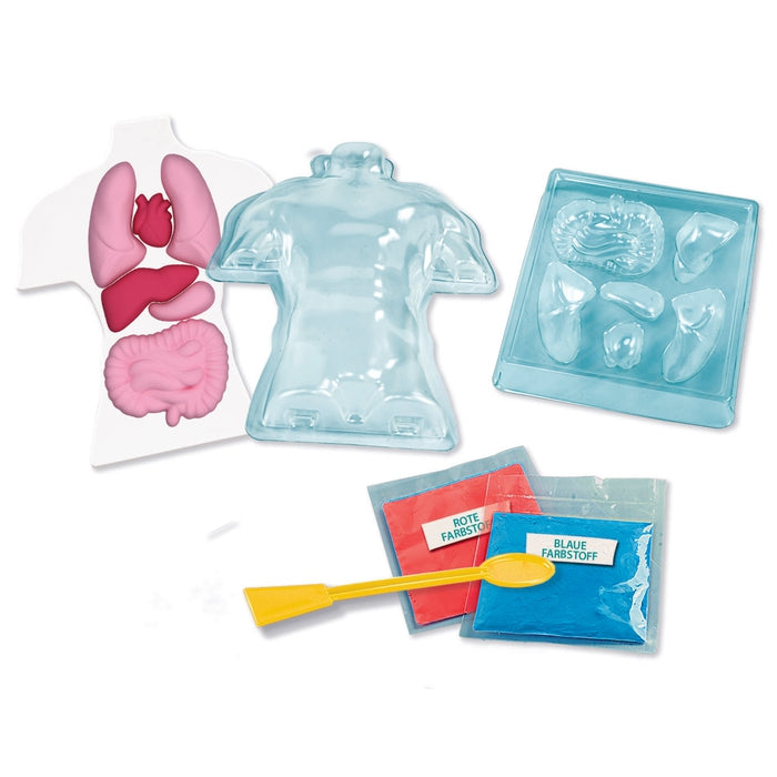 clementoni-galileo-lab-squishy-anatomie-experimentierkasten image 4