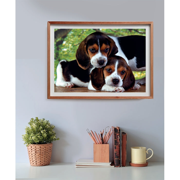 clementoni-adult-puzzle-close-together-500-teile-tier-puzzle-49-x-36-cm image 3