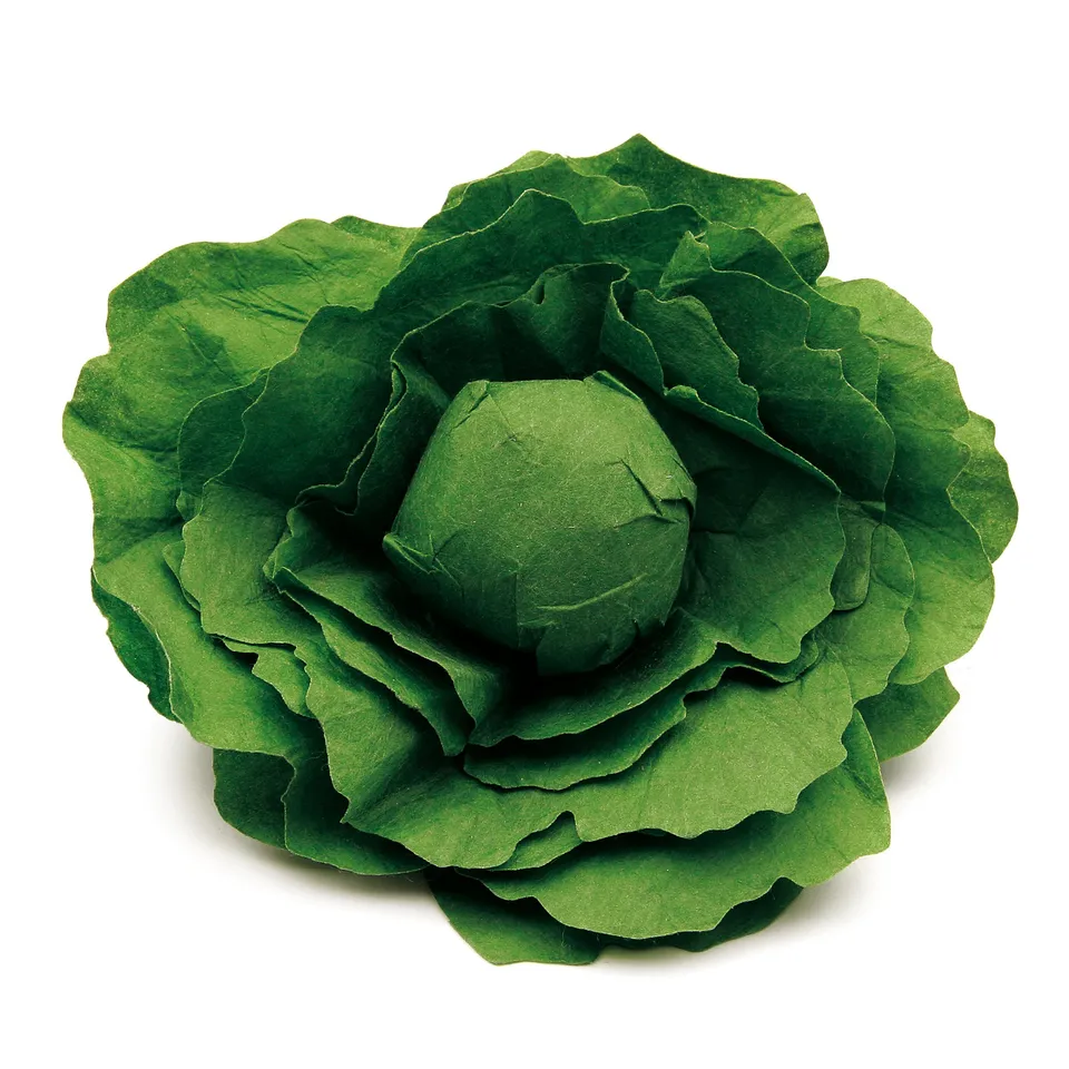 erzi-12280-salatkopf-kaufladenartikel-aus-holz image 1