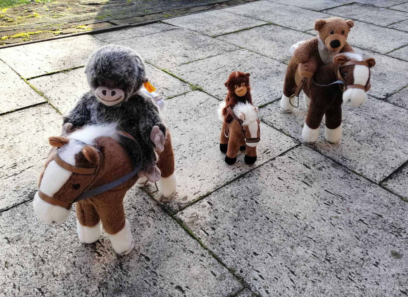 Wunderschönes Pferd