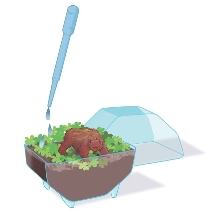 clementoni-mini-terrarium-b-r-pflanzen-tiere-experimentierset image 4