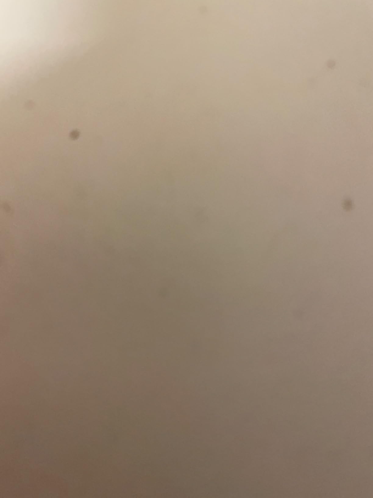 Highlight im Kinderzimmer