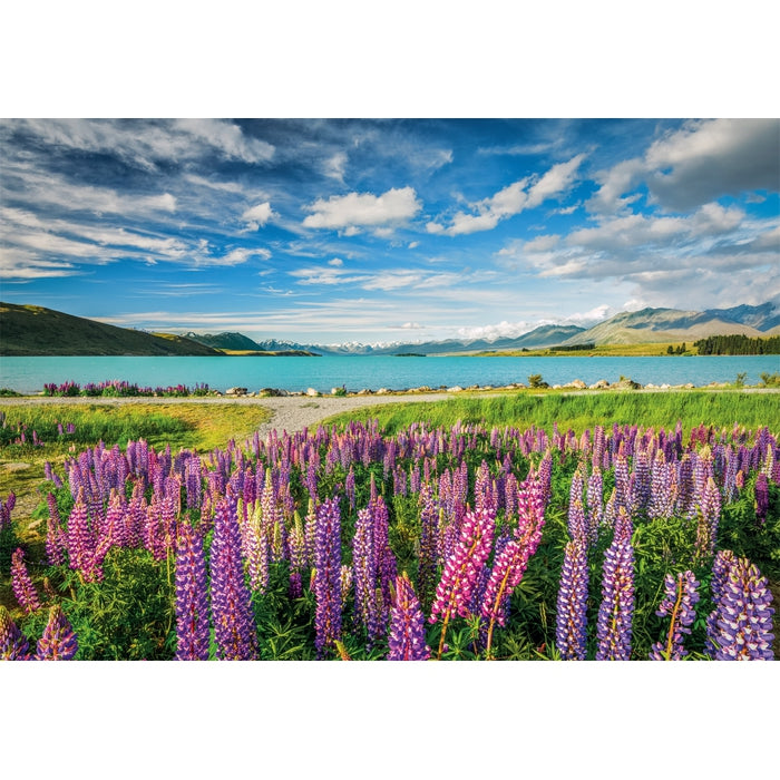 clementoni-puzzle-lupins-at-lake-tekapo-1500-teile-panorama image 2