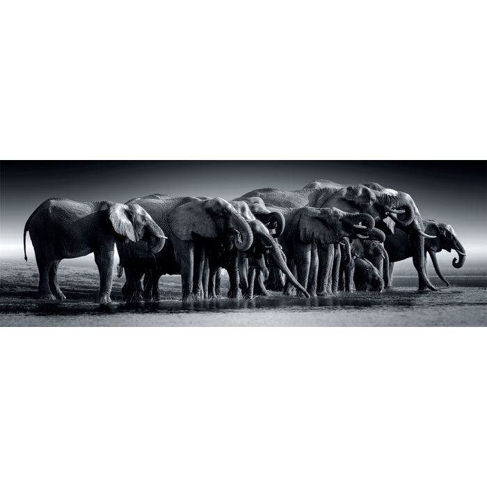 clementoni-herd-of-giants-puzzle-1000-teile-98-x-33-cm-panorama image 2
