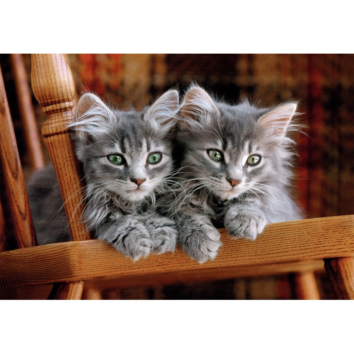 clementoni-kittens-puzzle-500-teile-erwachsenenpuzzle-tiere image 2