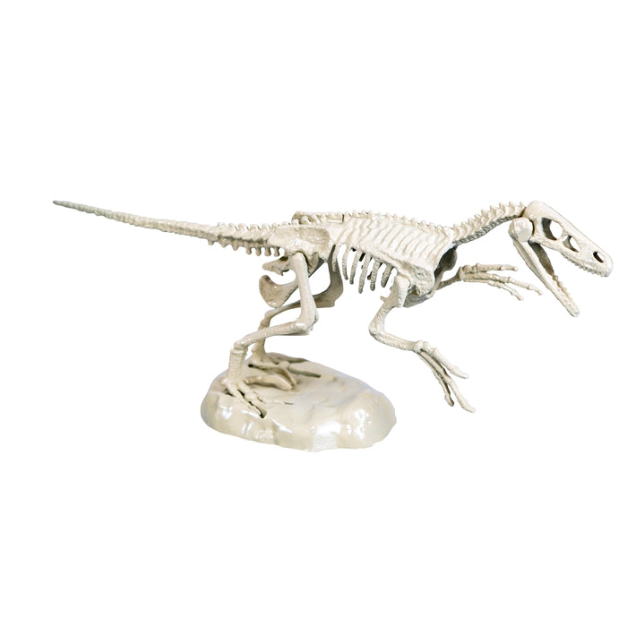 clementoni-galileo-discovery-ausgrabungs-set-velociraptor image 4