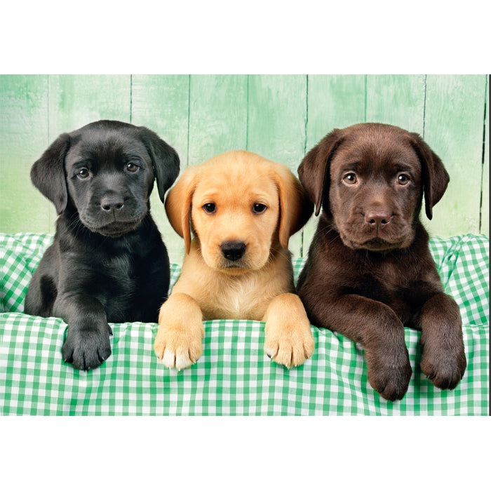 clementoni-three-labs-puzzle-1000-teile-70-x-50-cm-tiere image 2