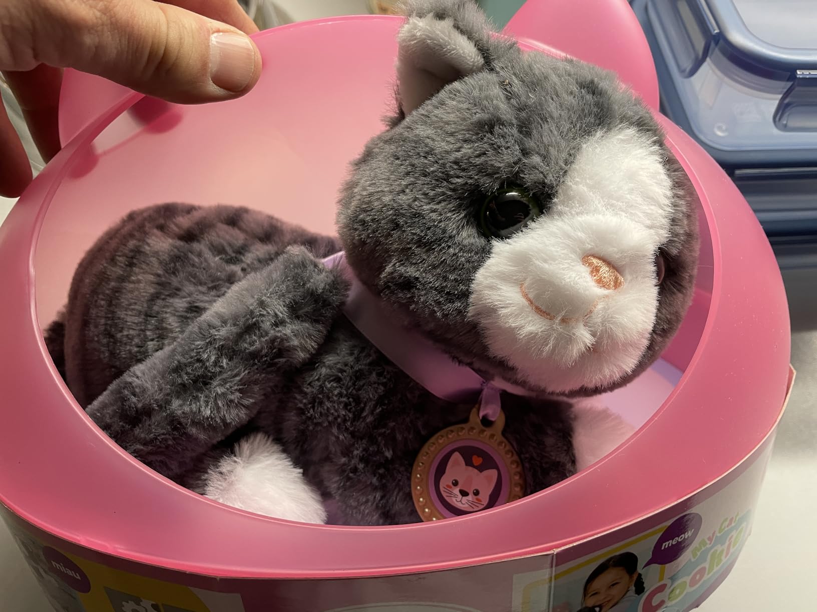 Tolles Set für Katzenfans