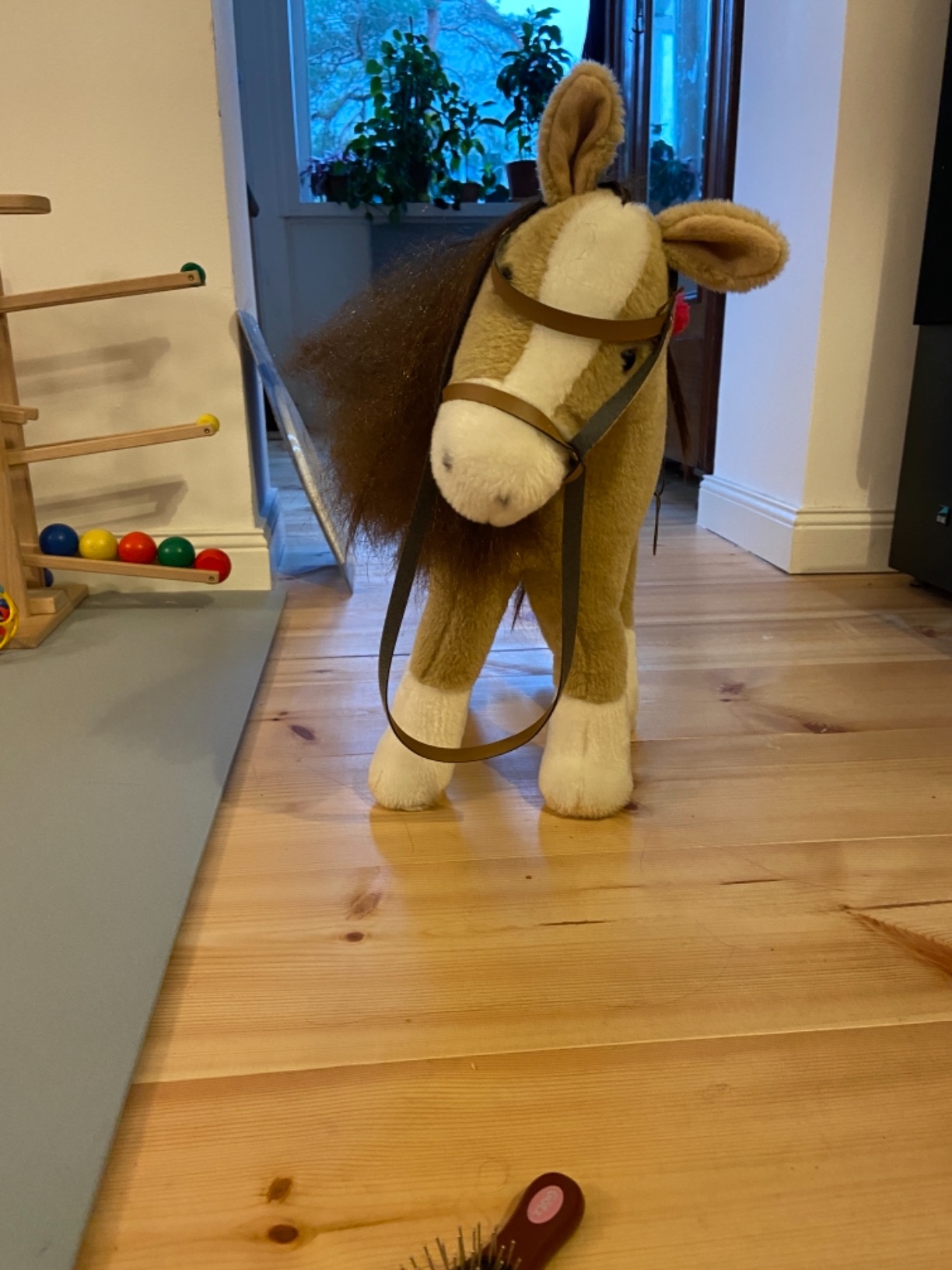 Lieblingspferd