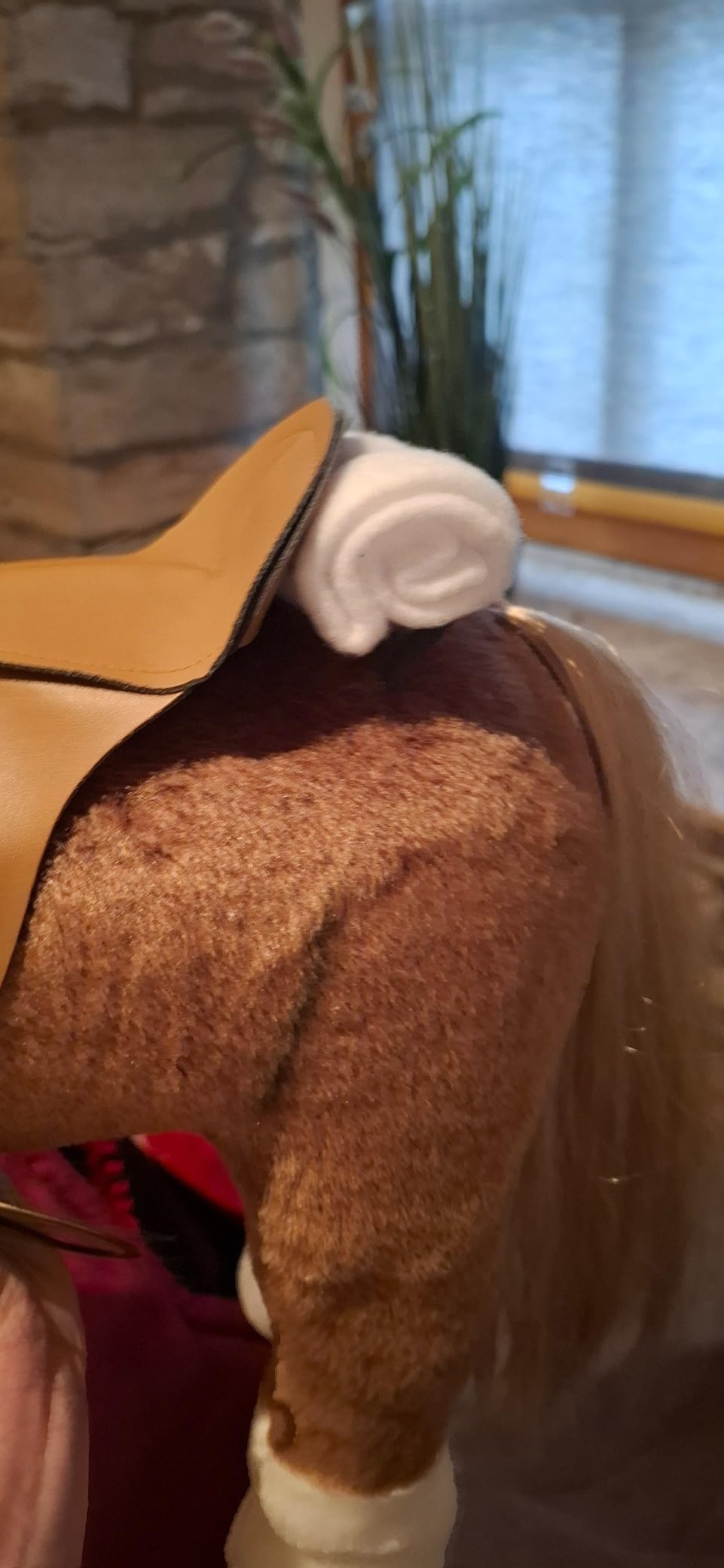 Schönes Kämmpferd