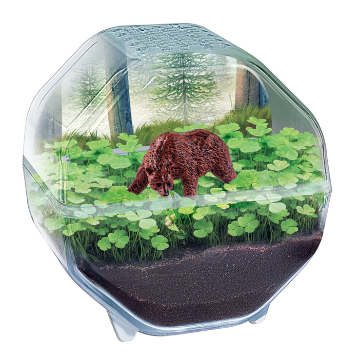 clementoni-mini-terrarium-b-r-pflanzen-tiere-experimentierset image 2
