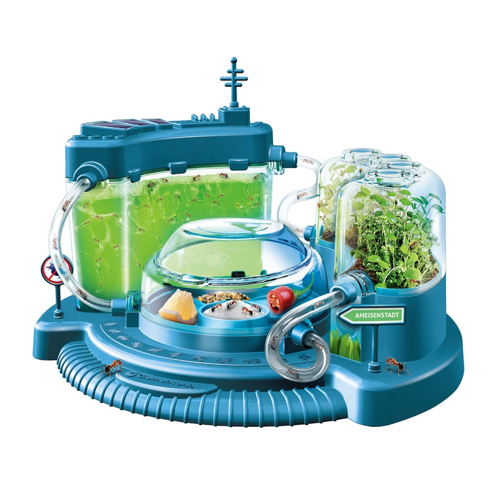 clementoni-galileo-lab-entdecke-die-welt-der-ameisen-ameisenfarm-beobachtungsset image 2