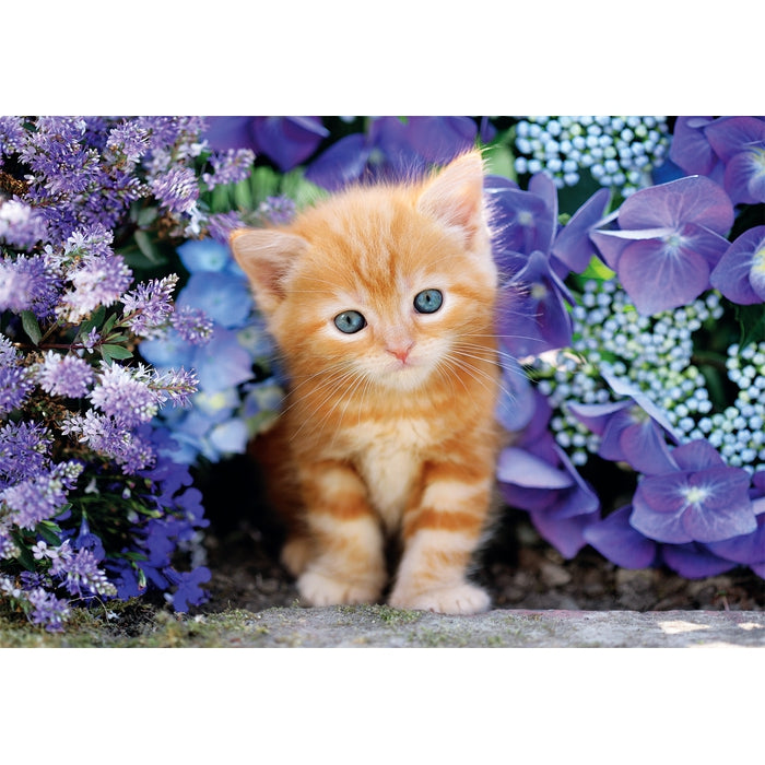 clementoni-ginger-cat-puzzle-500-teile-49-x-36-cm image 2