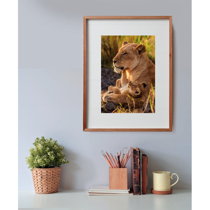 clementoni-feline-love-puzzle-500-teile-49-x-36-cm image 3